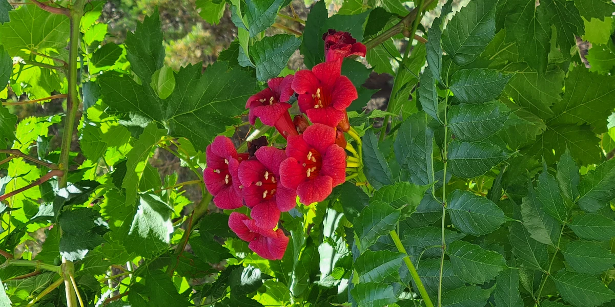 20240629 134851