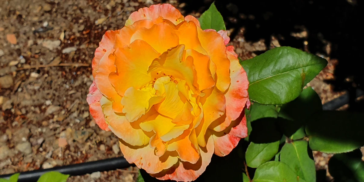 20190602 155544